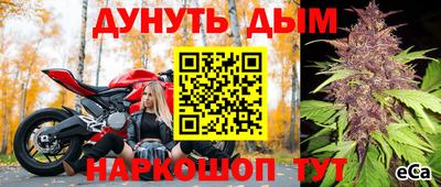 скорость Будённовск